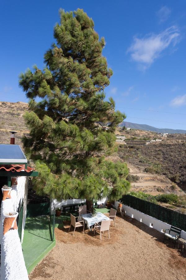 La Zarza Rural Experience By Sunkeyrents Villa Santa Cruz de Tenerife Dış mekan fotoğraf
